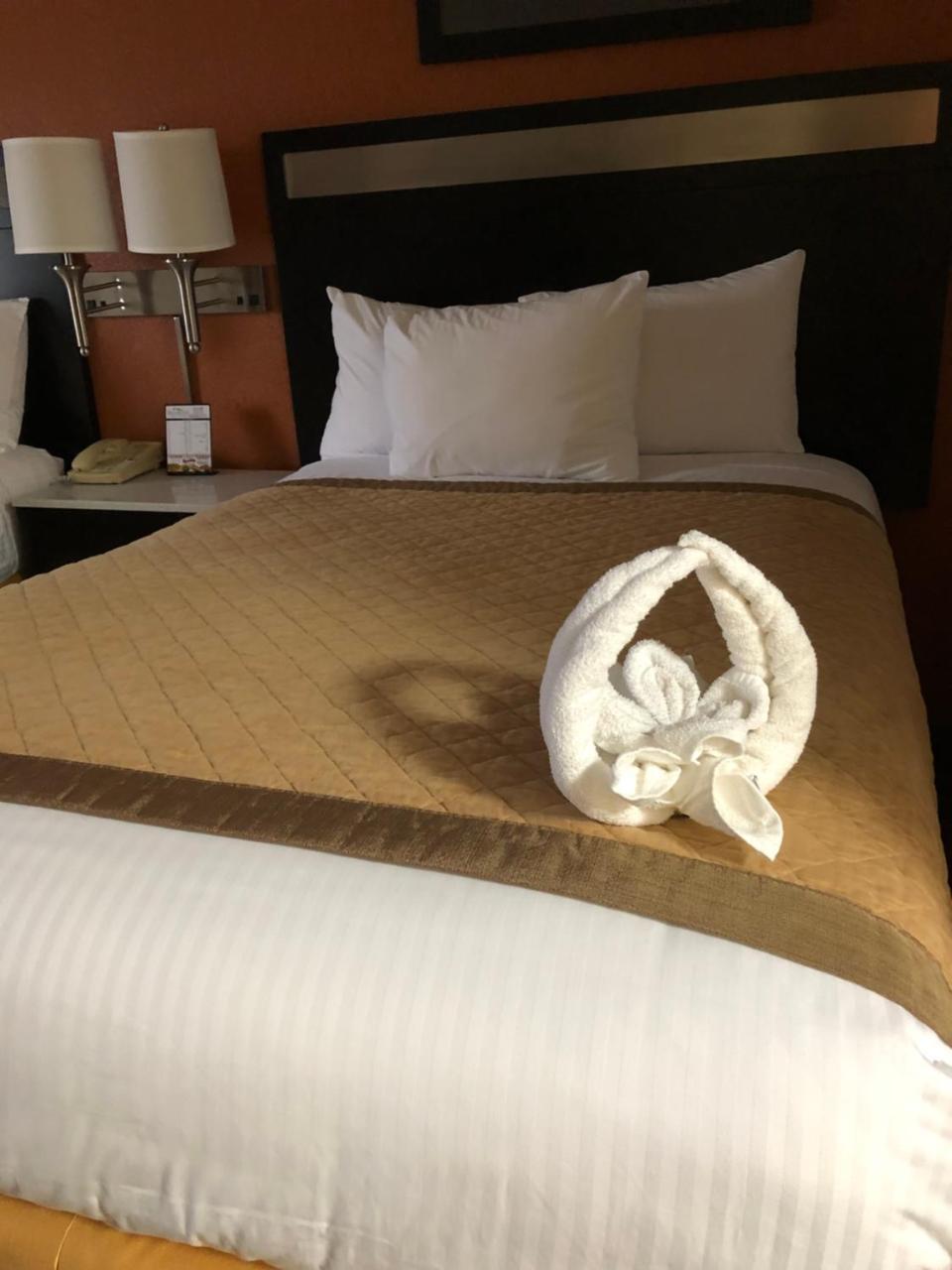辛辛那提贝蒙特旅馆套房酒店 沙伦维尔 外观 照片